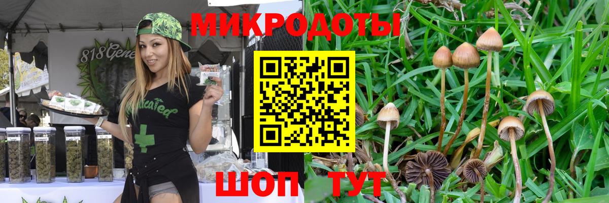 Псилоцибиновые грибы прущие грибы Солнечногорск