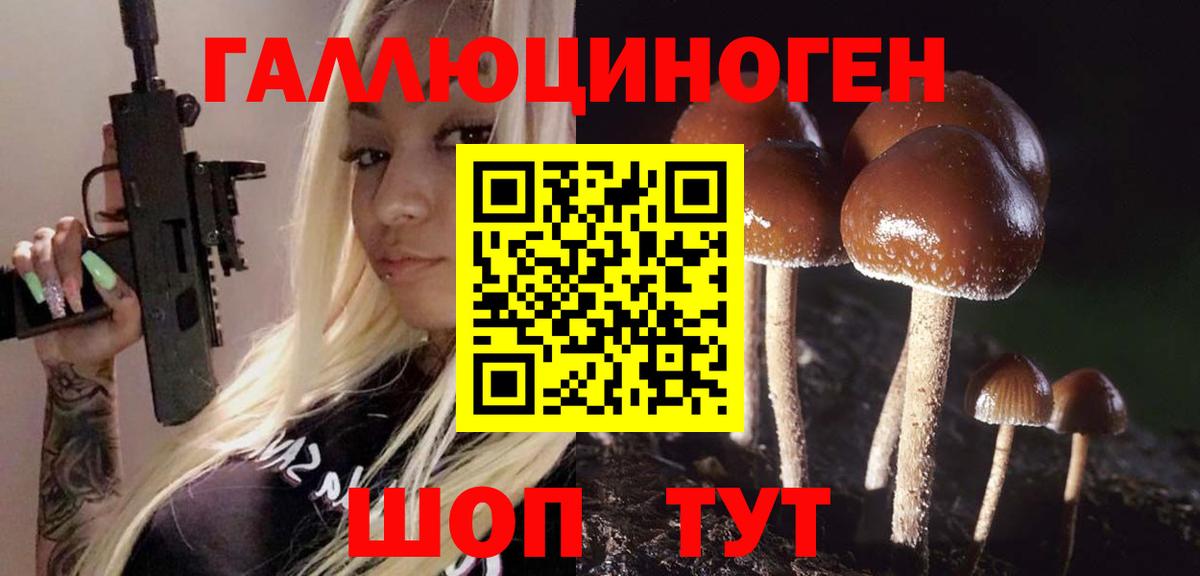 Галлюциногенные грибы GOLDEN TEACHER  Вход с VPN  Солнечногорск 