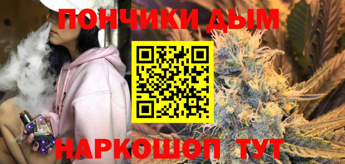 Канабис сатива Солнечногорск